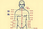 任督二脉具体是指什么