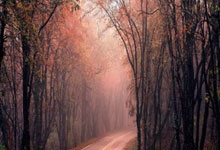 易经的底层逻辑被无数