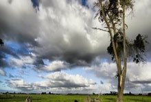 2025新年第三步，领悟内耗