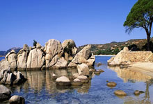 苏子阳：四式子午乾坤功